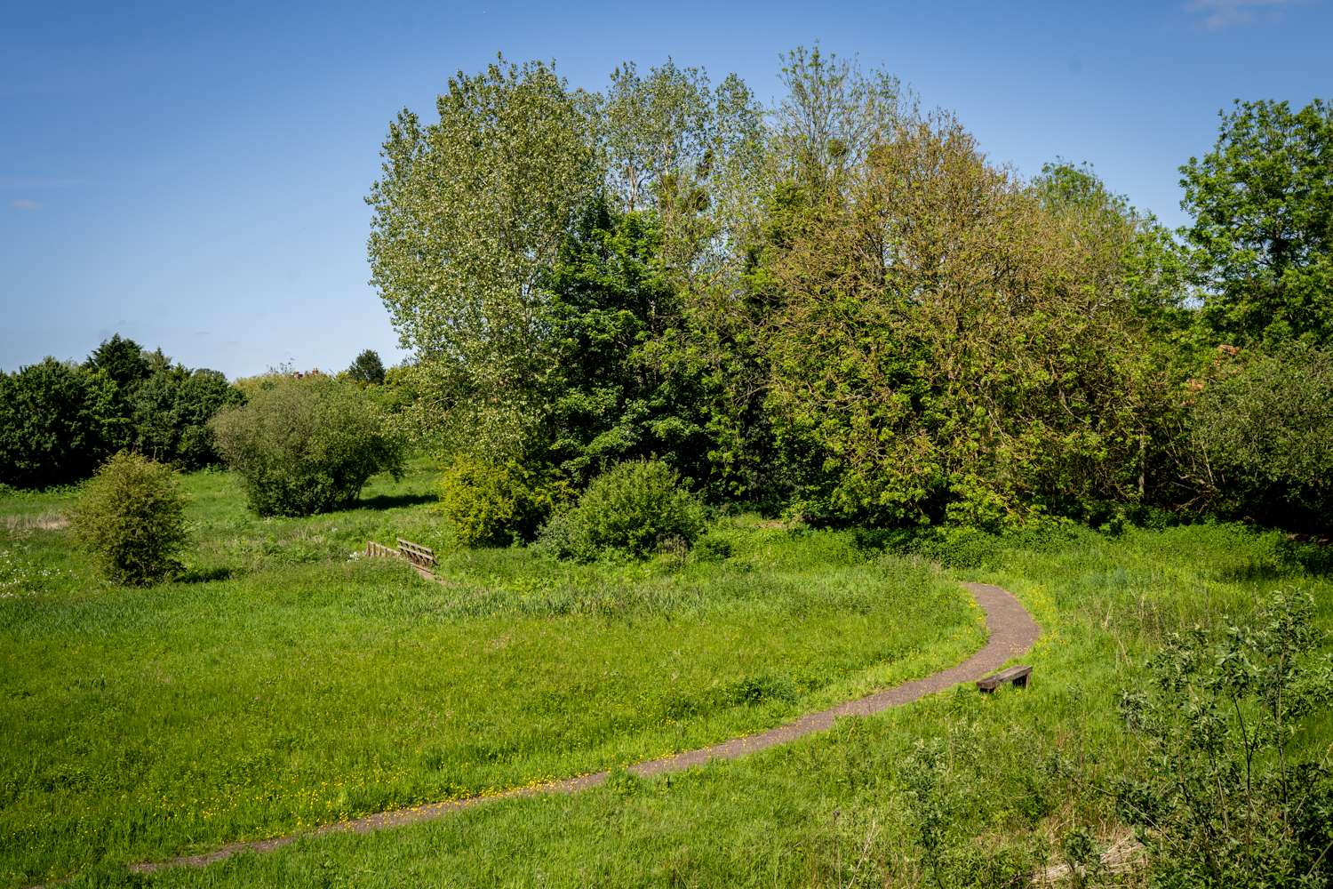 Plaque 6 Loop Trail Tolls Meadow